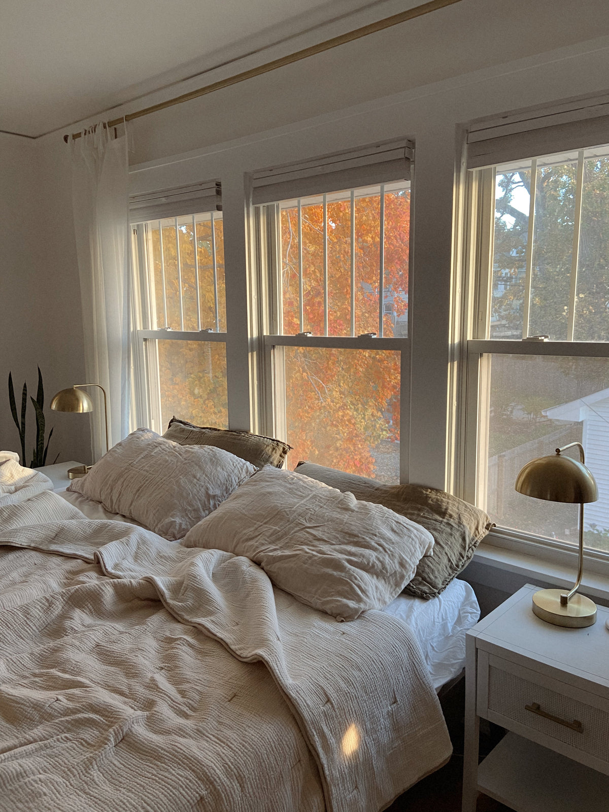 Home & Cozy