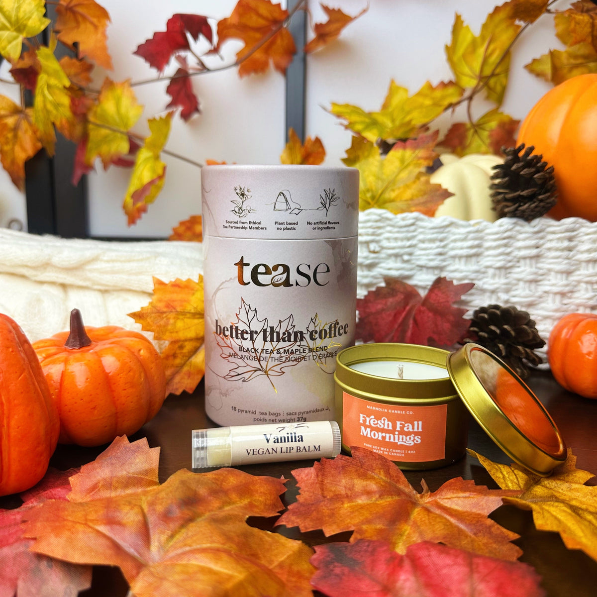 The Fresh Autumn Morning Bundle